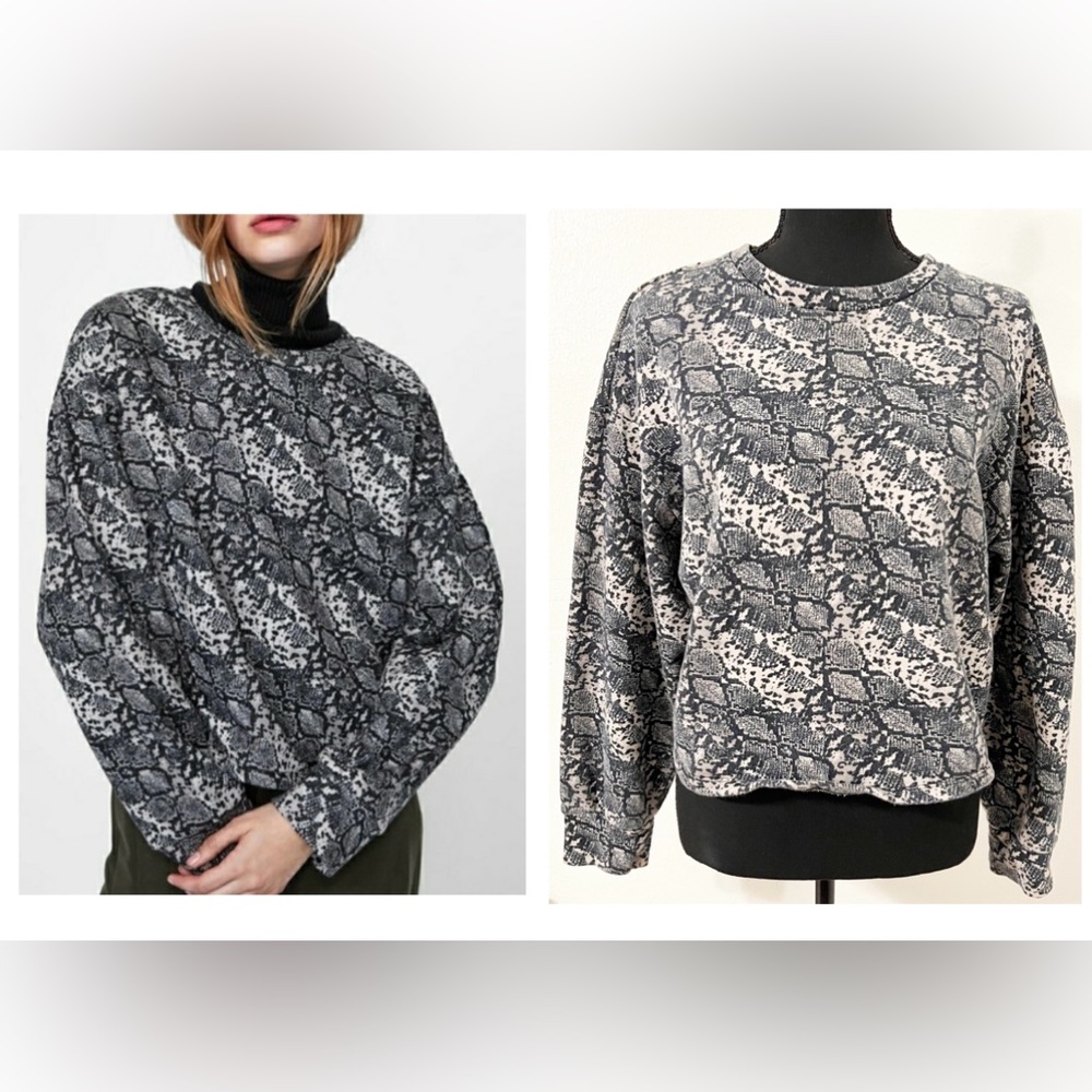 Zara Regular Cotton Blend Sweatshirts Snake Skin Pattern Cropped Sweatshirt M - Picture 1 of 6